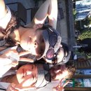 고양이나라 이미지