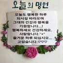 술은 좋은거시여 어 이미지