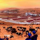 대안목장 이미지