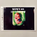 11650-16-13-4 | [임신일기 #4] 13-16주차 : 1차 2차 기형아검사 후기 | 첫 입체초음파 | 성별 확인 | 배라 젠더리빌...