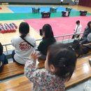 장안체육관(태권도) | 7세 아드님의 국기원 1품 심사 디데이 in 장안대학교