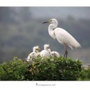 엄마밥줘 이미지