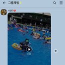 사계절썰매장/야외풀장 네이버블로그
