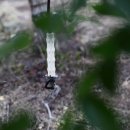 드림농원 이미지