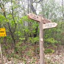 전동면사무소 이미지