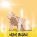 온더피트니스 이미지