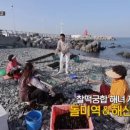 자매물회
