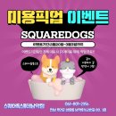 스퀘어독스롯데