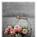 닥터브랜딩