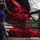 아브라함농장 이미지