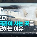 01-41 동구 이미지