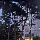 식사중앙공원 화장실 이미지
