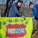 김용 농장 이미지