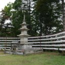 새나리로38번길 이미지