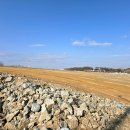 대지 행정사사무소 이미지