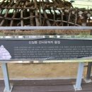 신길선사유적지 이미지