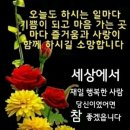금토끼