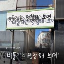 비둘기는멍청해보여 | 경산 영남대 카페 '비둘기는 멍청해 보여' | 보드게임, 카공하기 좋은 곳