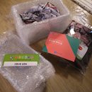 신비소리 이미지