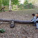 원천초등학교병설유치원 이미지