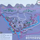 공립풍동숲속유치원 | 용인 자연휴양림 캠핑장 야영데크 명당 예약, 콩게미 콩국수 웨이팅 후기