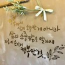 바보형제쭈꾸미 이미지