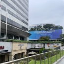 안양건설회관 | [W1-1.웨딩홀투어] 강남 웨딩홀 셀럽앤어셈 후기&amp;26년 상반기 잔여타임, 하반기 견적 (견적o, 계약x)