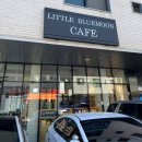 리틀 블루문 이미지