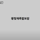 황빛채 네이버블로그