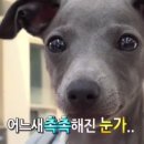 삼휴댁 네이버블로그