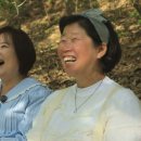 어린왕자민박 이미지