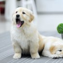 국제업무지구역1-2 이미지