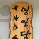유박사