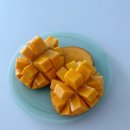 신안댁
