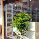 공감도서관 | 마포 공덕 초등 영어 공부, 센클 영어 도서관 마포이대학원 설명회 후기