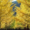 풍경힐링 이미지