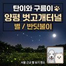 반딧불이 | [양평 벗고개터널] 서울 근교 별보기 명소 후기｜반딧불이까지 본 감성 드라이브