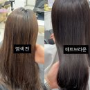 염색하기좋은날 | 부산 서구 대신동 미용실 - 유채헤어 매트 브라운 염색 후기