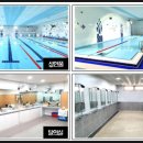 관저다목적체육관 수영장 이미지