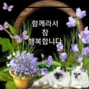 오늘의 역사 (4월 25일) 이미지