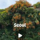 뚝섬한강공원-93 이미지