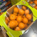 큐티 | 코스트코 큐티 만다린 후기｜캘리포니아 귤인데 오렌지처럼 달콤