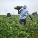 행정사사무소 봄 이미지