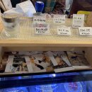 신촌애견미용실 이미지