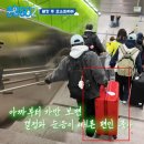레드볼트 | 풍향고2 유재석, 양세찬 캐리어 정보 리드볼트 오딧 펄스레드 스펙 살펴본 후기