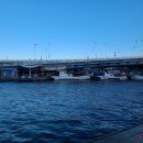 속초맛집생선구이 이미지