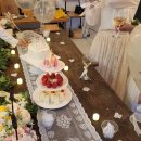 스테이오별 이미지