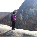 성범농장 이미지