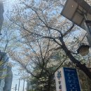 루소호텔 | 커피루소 | 상암 주차 가능한 브런치 카페 / 상암 주말 데이트 장소 추천 / 드립 커피 추천