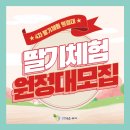 영복농장 | &lt;2021 양평농촌나드리 딸기체험원정대 4차 참가자 모집안내&gt;